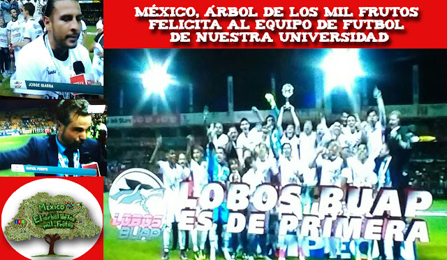 Lobos BUAP - Equipo de Primera 